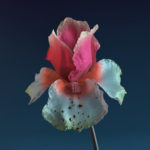 Flume Skin-The Remixes Like Water feat. MNDR Cover Art
