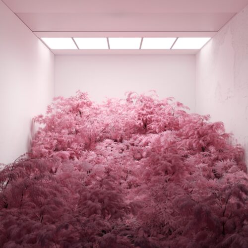 Cover artwork for RAC “Ether (feat. MNDR)”